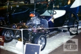 DRC_110_Brizio-Instant-T-GNRS-68