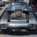 JMC_5479 JMC_5479_Blown-61-Bird