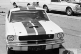 JMC_1646_Mustang-GT350-65