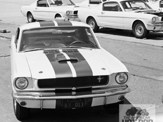 JMC_1646_Mustang-GT350-65