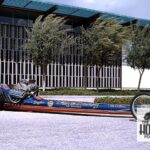 DPC_357_Marvin Schwartz Anaconda